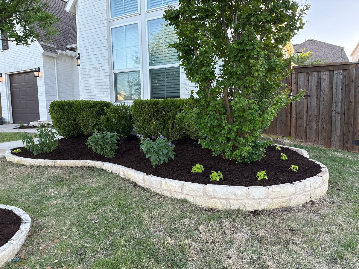 A serpentine limestone-block bed border curving around clipped boxwood and a crape myrtle, filled with fresh dark mulch.