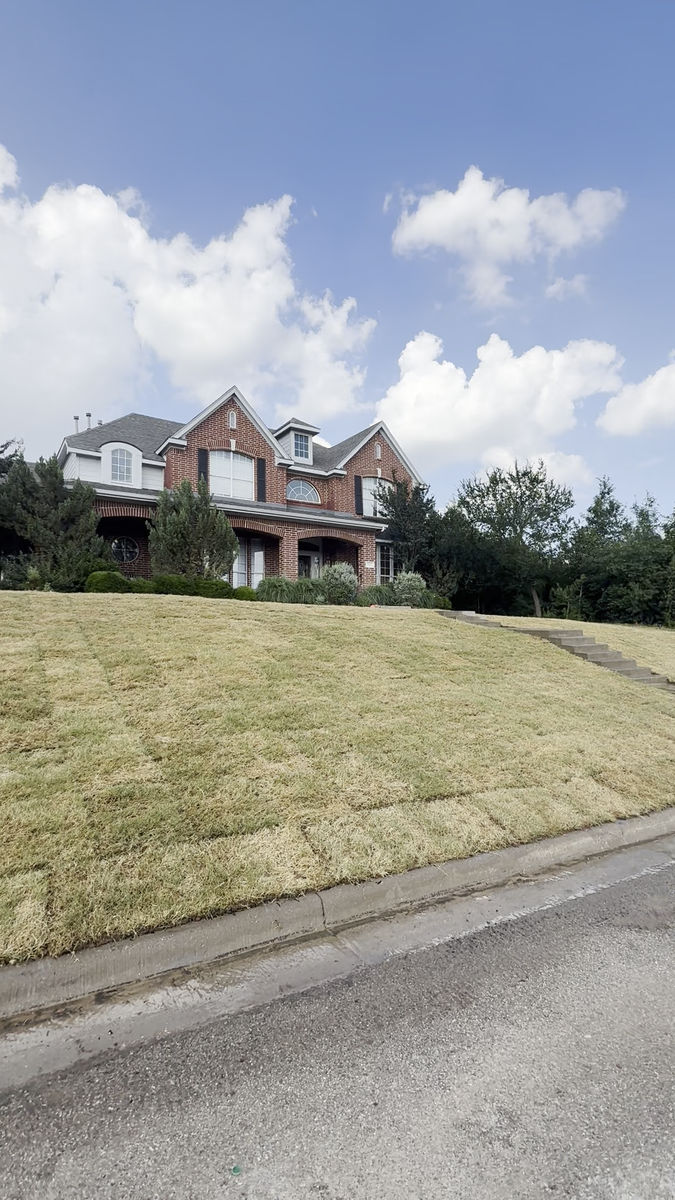 The finished slope covered in freshly laid sod, the seams between the strips still visible, in front of the same brick house.